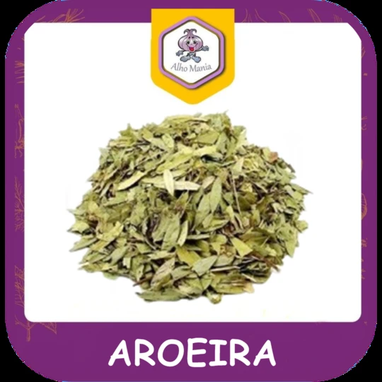 Aroeira — foto do cardápio Alho Mania
