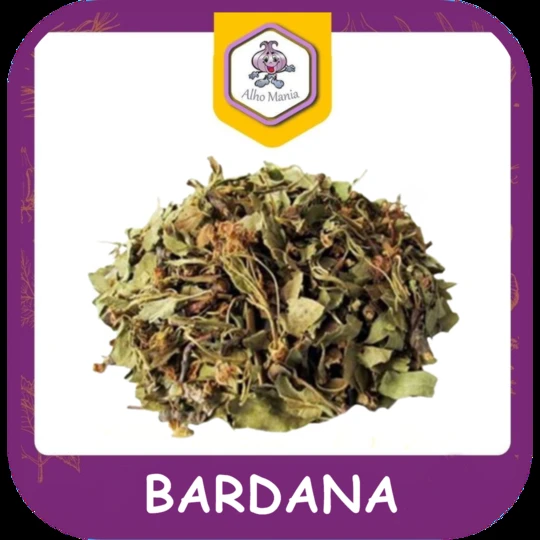 Bardana — foto do cardápio Alho Mania