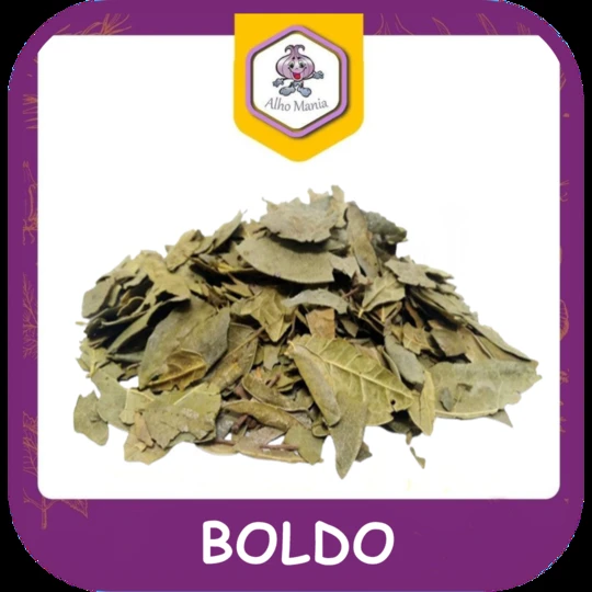 Boldo — foto do cardápio Alho Mania