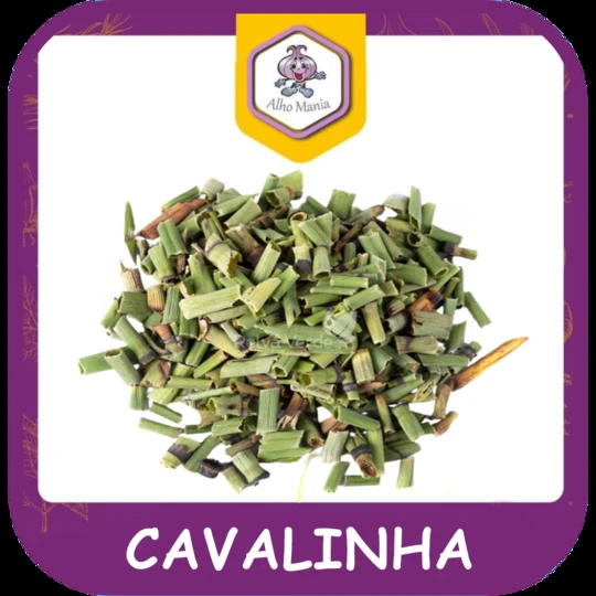 Cavalinha — foto do cardápio Alho Mania