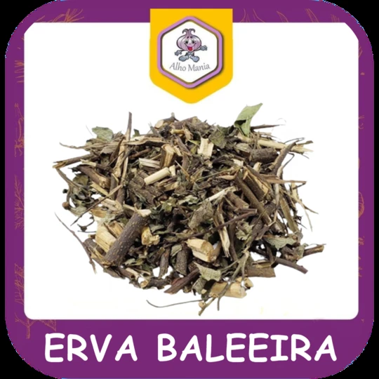 Erva baleeira — foto do cardápio Alho Mania
