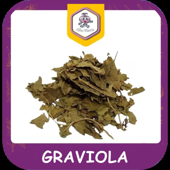 Graviola — foto do cardápio Alho Mania