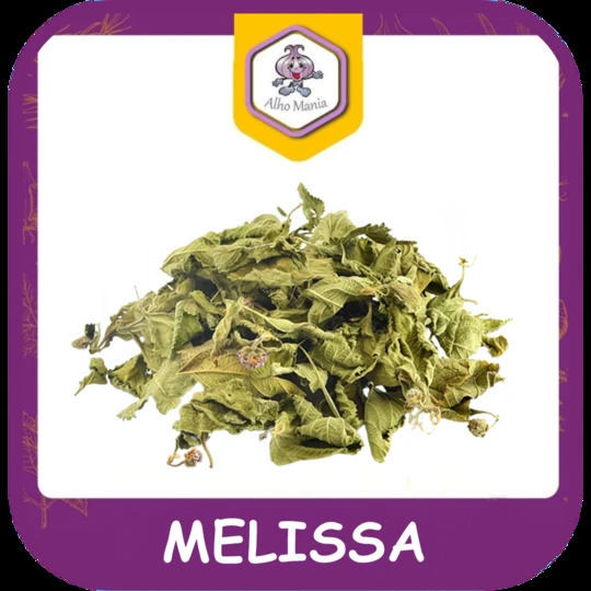Melissa — foto do cardápio Alho Mania