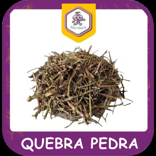 Quebra pedra — foto do cardápio Alho Mania
