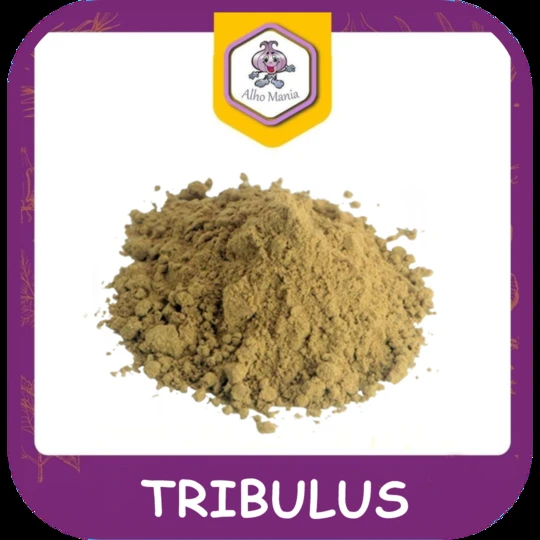 Tribulus — foto do cardápio Alho Mania