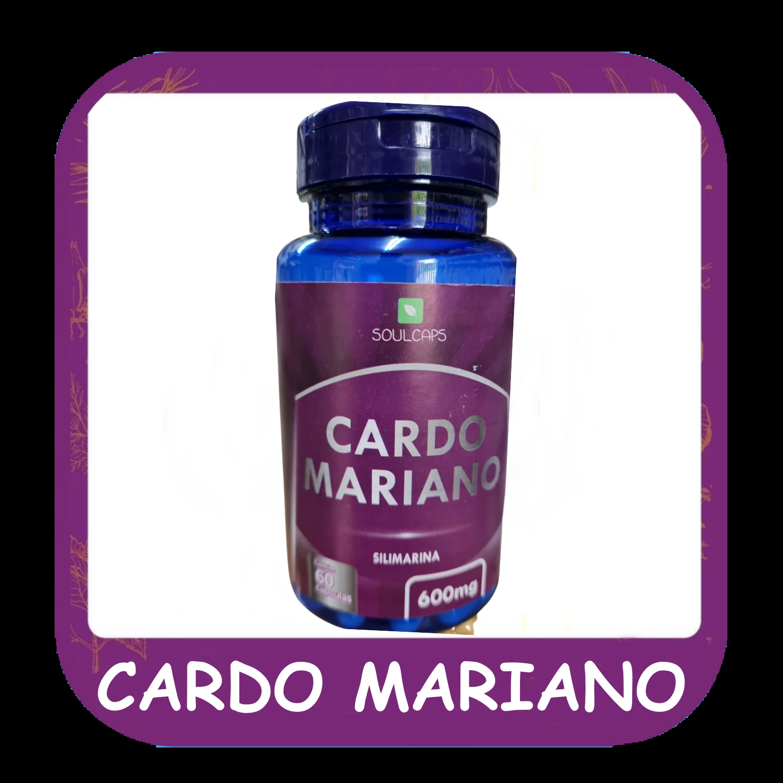 Cardo mariano — foto do cardápio Alho Mania