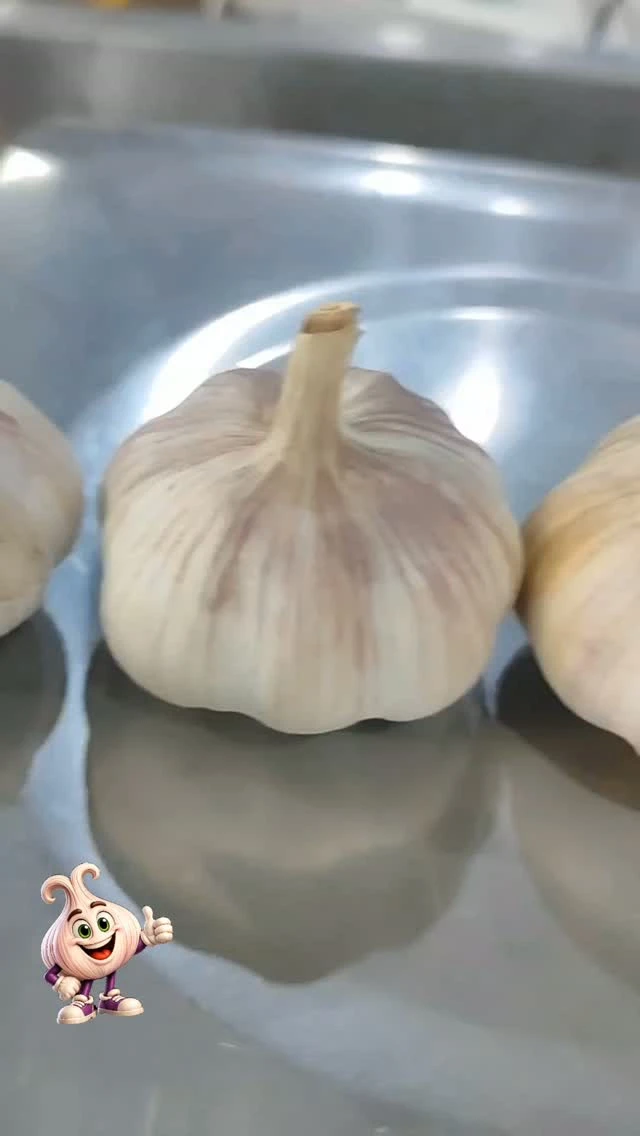 Tamanhos do alho nacional — publicação do Instagram da Alho Mania